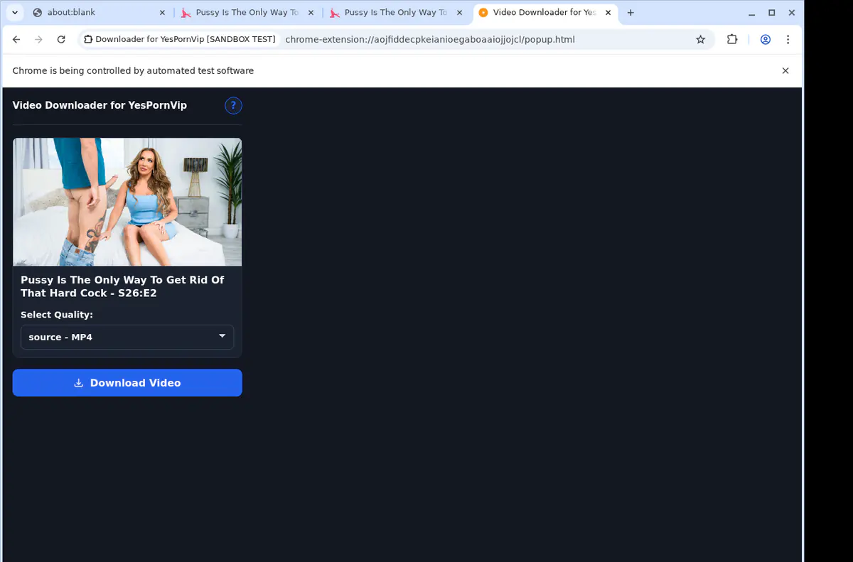Yespornvip Video Downloader screenshot 4